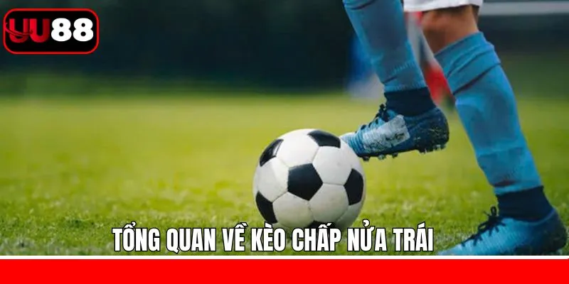 Kèo chấp nửa trái là gì?