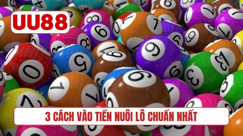 3 cách vào tiền nuôi lô chuẩn nhất hiện nay
