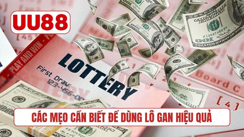 Các mẹo cần biết để dùng lô gan hiệu quả